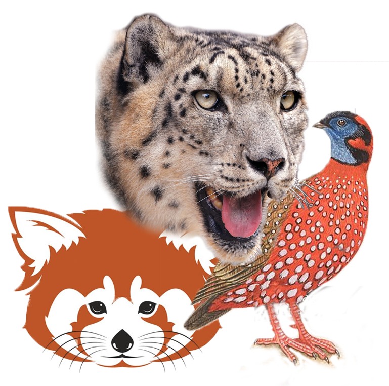 WhatsApp Image 2025-05-26 at 14.47.51_9e751e28