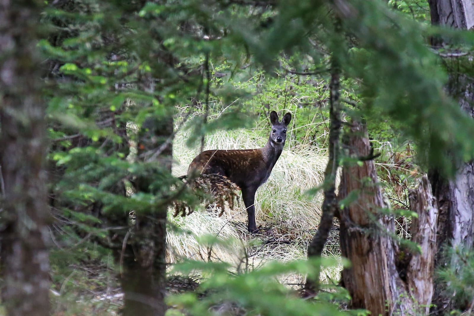 WhatsApp Image 2025-06-04 at 21.10.02_f51318e9