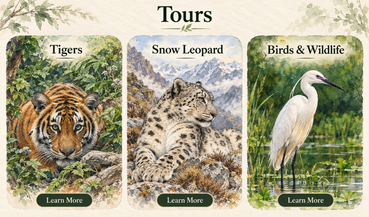 Conservation Tours